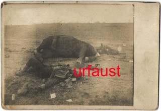 German WWI Photo Dead British Soldier Shelled Horses Steel Helmet