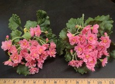 Set of 2: 1960s Vintage Plastic African Violets Flower Plant Pink Violet Flowers