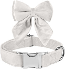 Collare Cane, Papillon Cane Collare per Cani Velluto, Collare per Cani Comodo Re