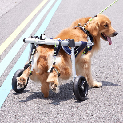 Carrello Per Cani Disabili – Sedia A Rotelle Con 4 Ruote In Alluminio, Imbottitura Regolabile, Per Zampe Posteriori O Anteriori, Taglie XS-M-L, Per Cani Con Artrite O Lesioni