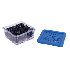 HIC Harold Import Co. 93267 Half Pint BerryFresh Produce Box, Blue