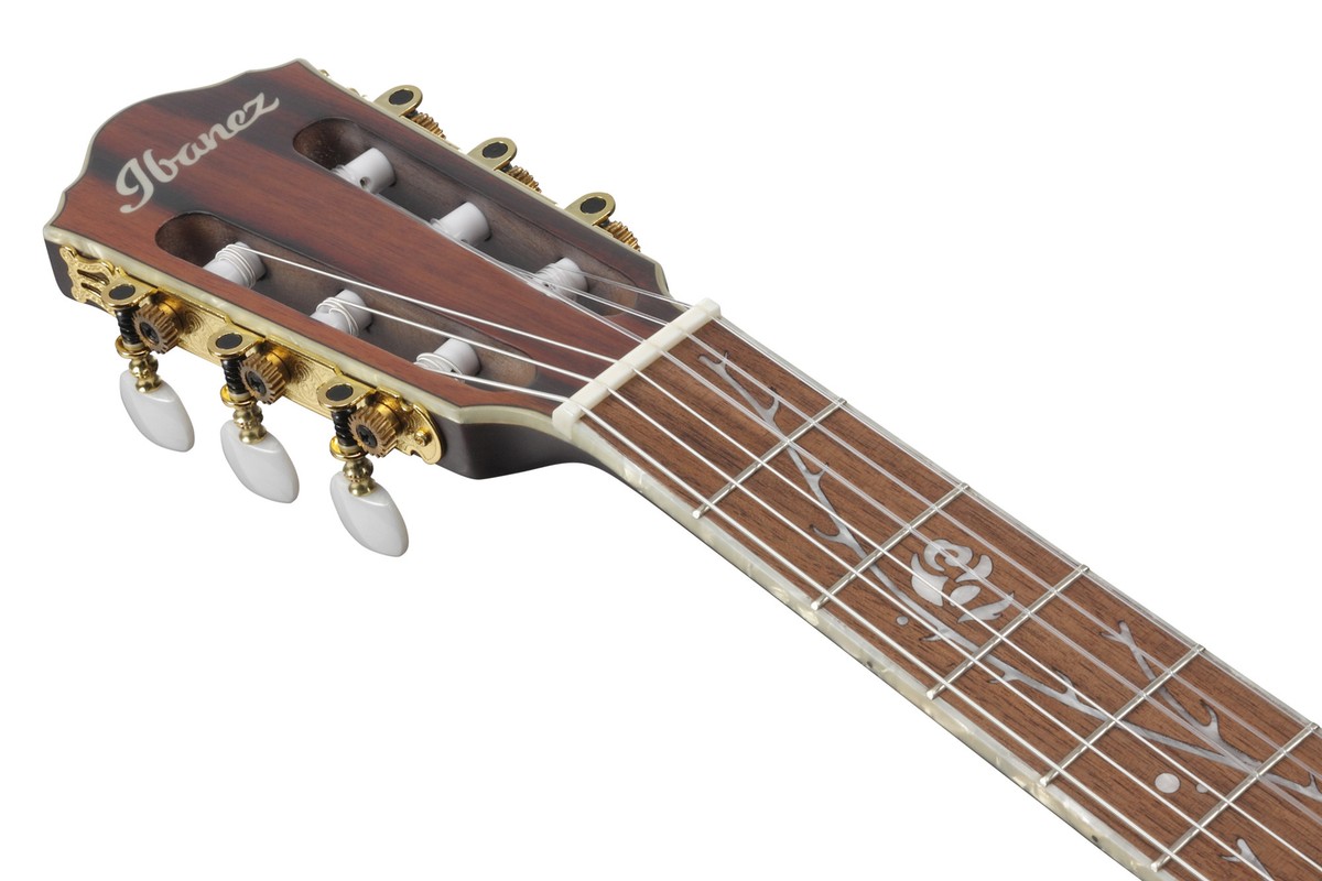 Ibanez Tod10N-Tkf Tim Henson Signature | eBay
