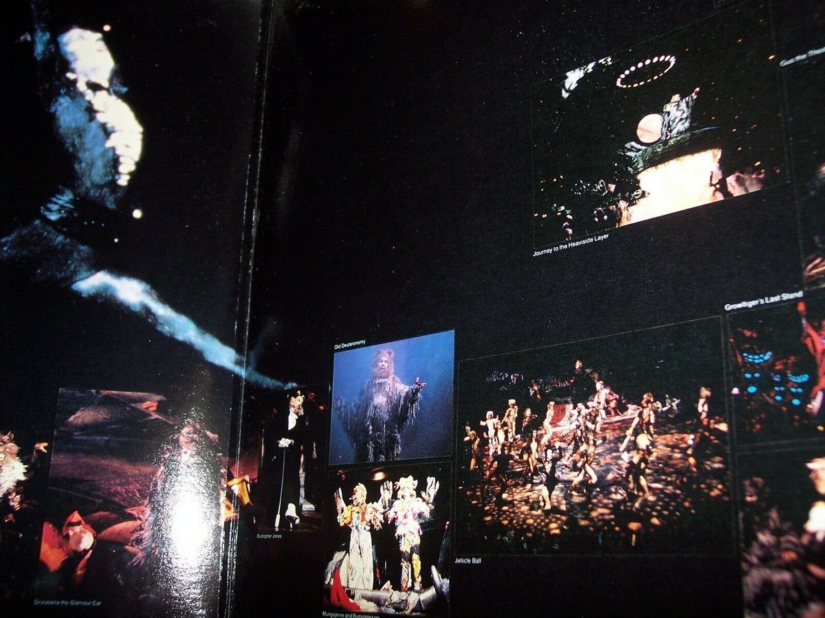 VG++ 1982 Cats Original Broadway Cast Recording 2 LP Albums | eBay