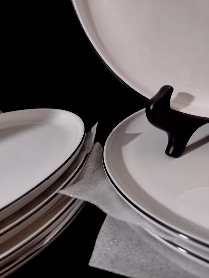 NUEVO de caja PURE LIVING Diseño Interior (4) Platos de Cena 10.5" Borde Negro Crema Foto 3 de 3