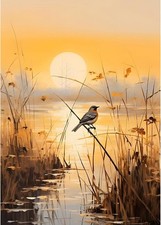 Sunset Diamond Painting Kits for Adults, 5D Diamond Art Kits for Beginners, DIY