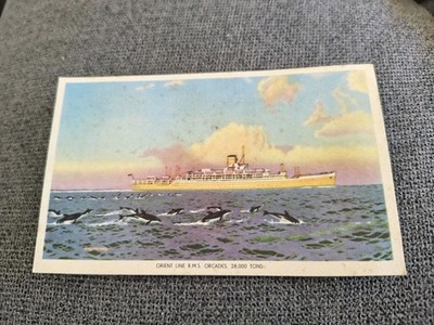 Orient Line Orcades Dolphins Scene Colour Maritime Postcard