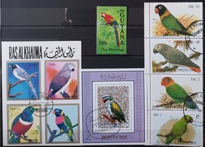 BIRDS. PARROTS. COLLECTION #2. 37 STAMPS + 3 SOUVENIR SHEETS. LOT IN GERMANY