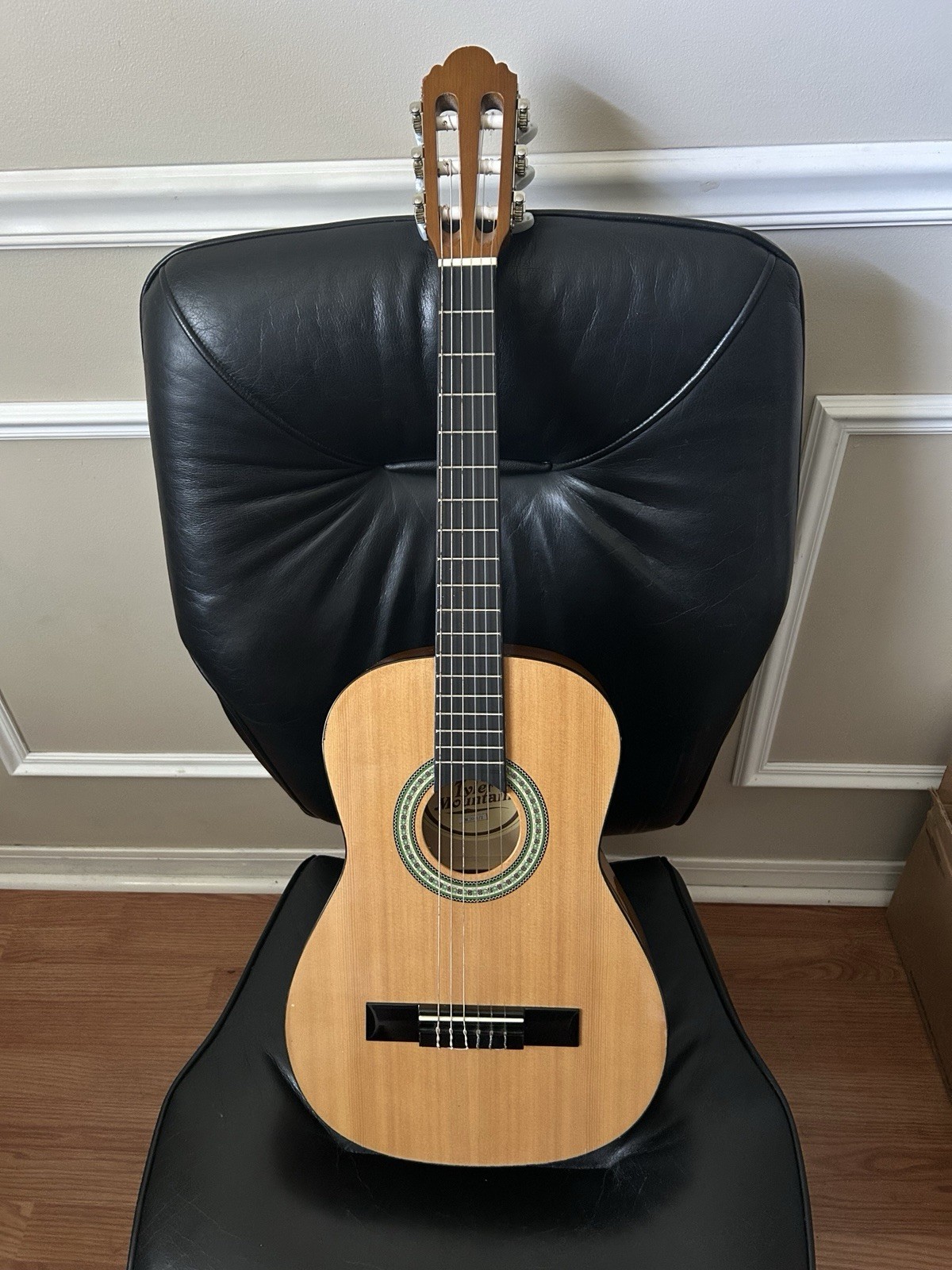 1 / 2 size tyler mountain classical guitar