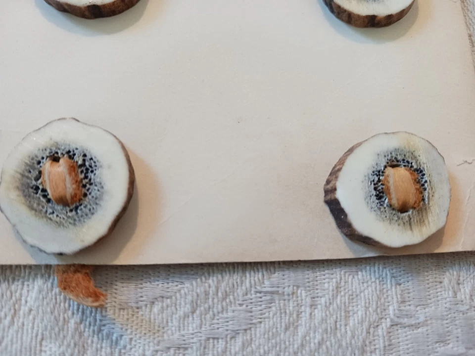 4 Vintage Deer Horn 2 Hole Buttons New on Card 7/8" Across Handmade - Image 3 of 4