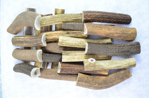 Split Deer Antler Chews For Dogs All Scottish Red Deer 100% Natural Organic Shed - Picture 3 of 10