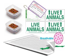 Basic Pet Carrier Airline Travel Accessory Kit SMALL