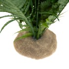 Bild 5 von 10