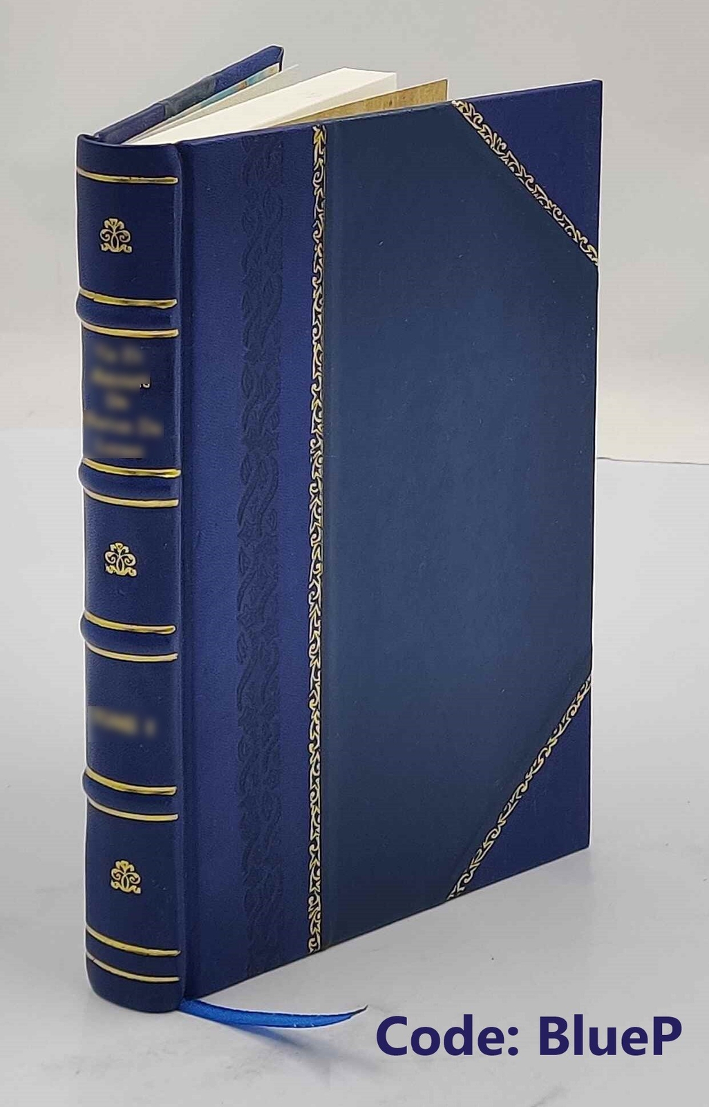 Guida di Ancona e dei suoi dintorni : con pianta topografica del [Leather Bound]