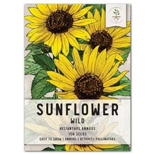 Wild Sunflower Seeds For Planting Helianthus annuus 