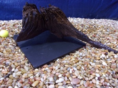 Large Driftwood Mounted on Slate 08''x18''x13'' Aquarium Reptile Natural Art