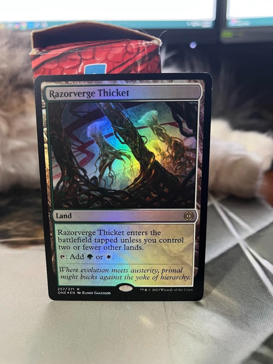 MTG 剃刀境の茂み/Razorverge Thicket 4枚 剃刀境の茂み｜カードギャラリー｜マジック：ザ・ギャザリング