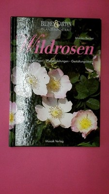 178954 Monika Becker WILDROSEN HC