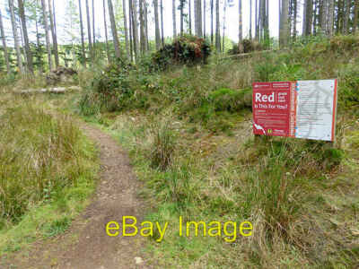 Foto 6x4 Lonesome Pine Mountainbike Trail Butteryhaugh Mountainbiken c2014