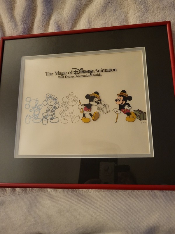 Disney Mickey Mouse cel MGM Studio hand Painted  Framed  Mickey's Progression
