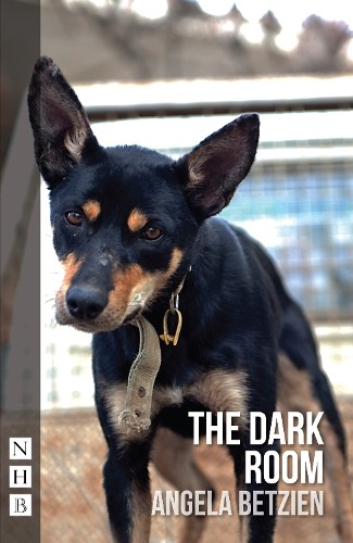 The Dark Room by Angela Betzien - 9781848427273