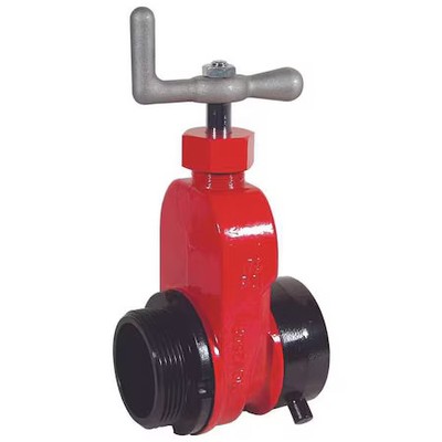 Dixon Ahgv250f-I Gate Valve, Single, 2-1/2 In Nst