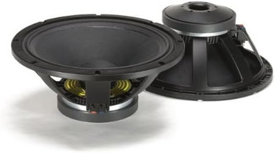 L18P300 2000W Power Handling 18'' Stand-Alone Woofer
