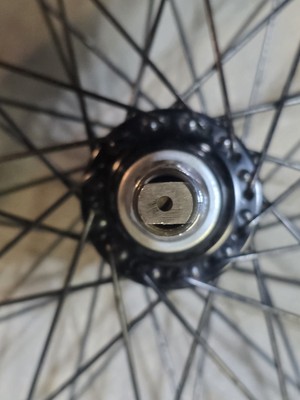 【ピコロ 】 Odyssey Hazard Rim Triple Walled 48 Spoke 14T Acs Freecoaster 14mm