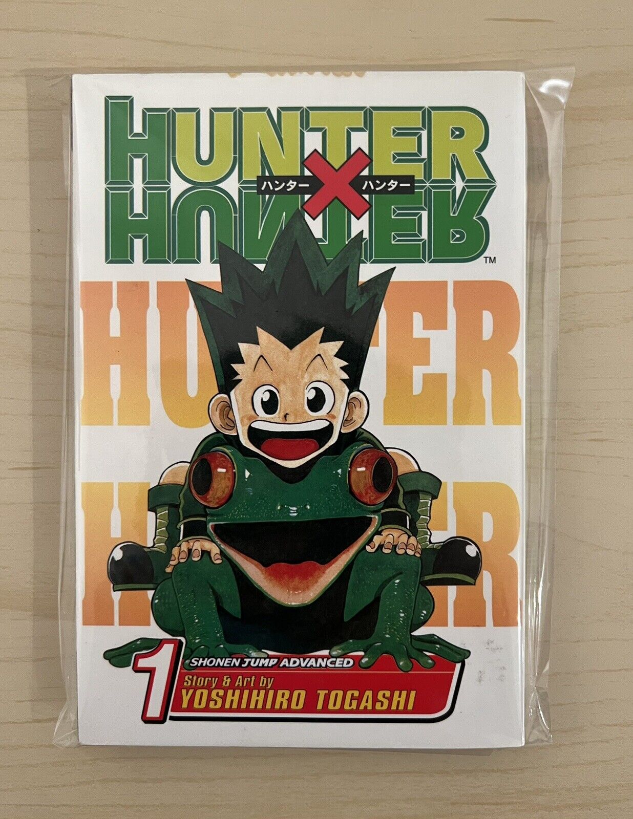 Hunter x Hunter, Vol. 1: The Day of Departure (English Edition