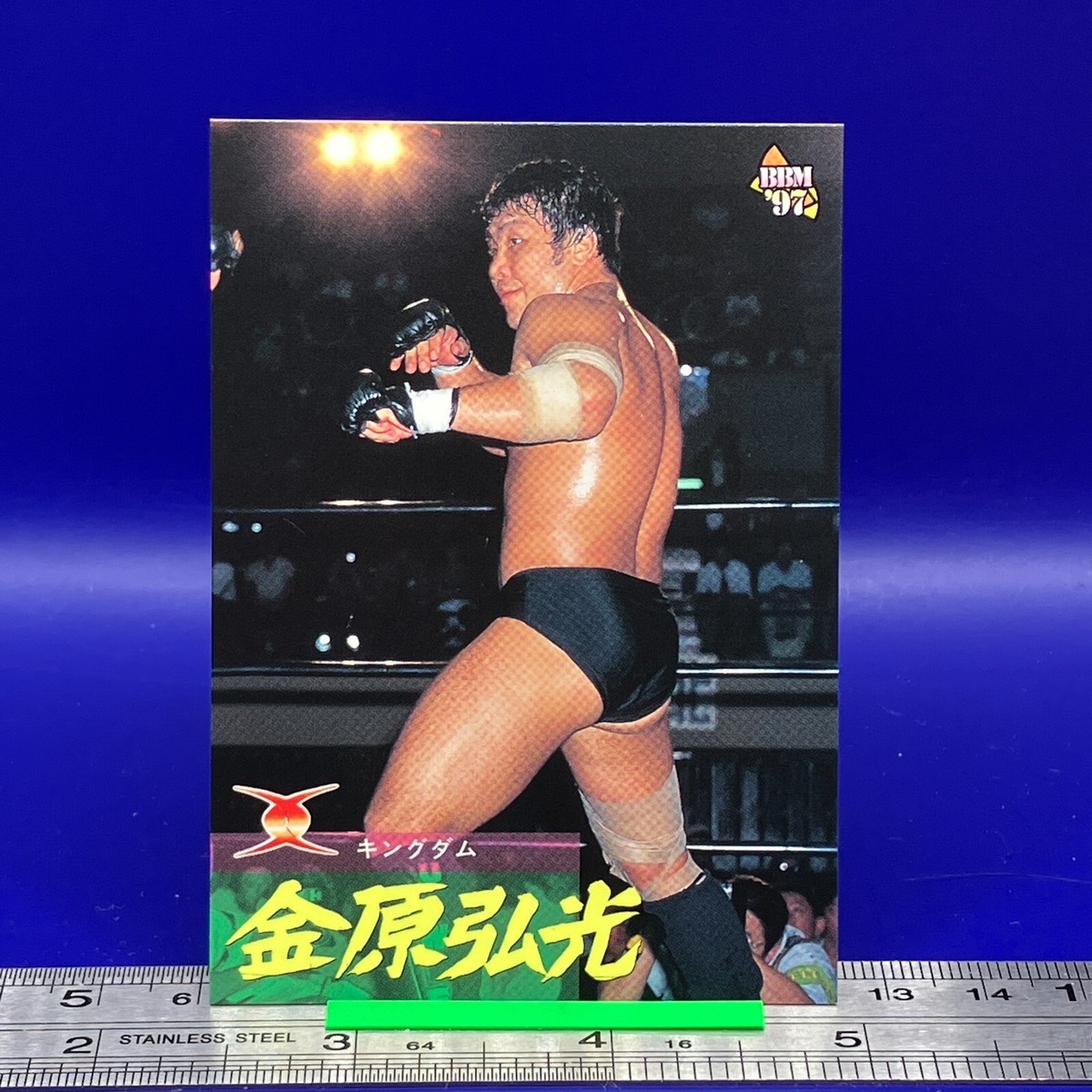 Hiromitsu Kanehara BBM Pro Wrestling Card TCG Vintage Japanese