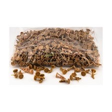 HBG Historical Minis Axis  Allies British Infantry Collection 18 NM