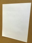 Robyn Hitchcock Warner Bros Press Release Includes 8" x 10" B&W Photograph — photo 4