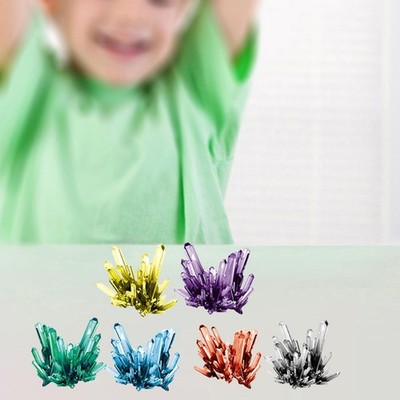 Science Experiment Science Rock Lab Growing Kit Growing Crystals Science Kit