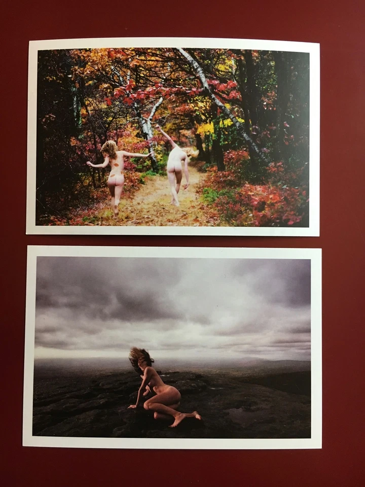 4 tarjetas postales raras de RYAN McGINLEY OTOÑO/INVIERNO tarjeta impresa sol y salud leche de luna Foto 4 de 4