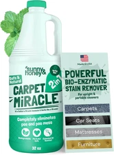 Carpet Shampoo & Cleaning Solution - 32 Fl Oz Spring Mint Scent - Pet Carpet Cle
