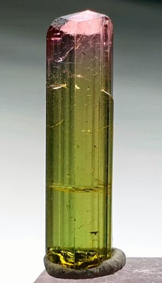 Pinkcap Bicolor Terminated Tourmaline Crystal From Afg