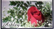 RED ROSE CHECKBOOK COVER