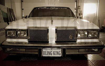 1980 Olds Cutlass Supreme chrome grill dual weave mesh Tiarra grille