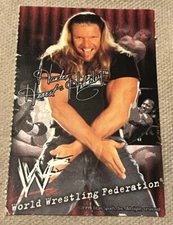 1999 Good Humor Ice Cream WWF Wrestling Card Hunter Hearst Helmsley Triple H 📈
