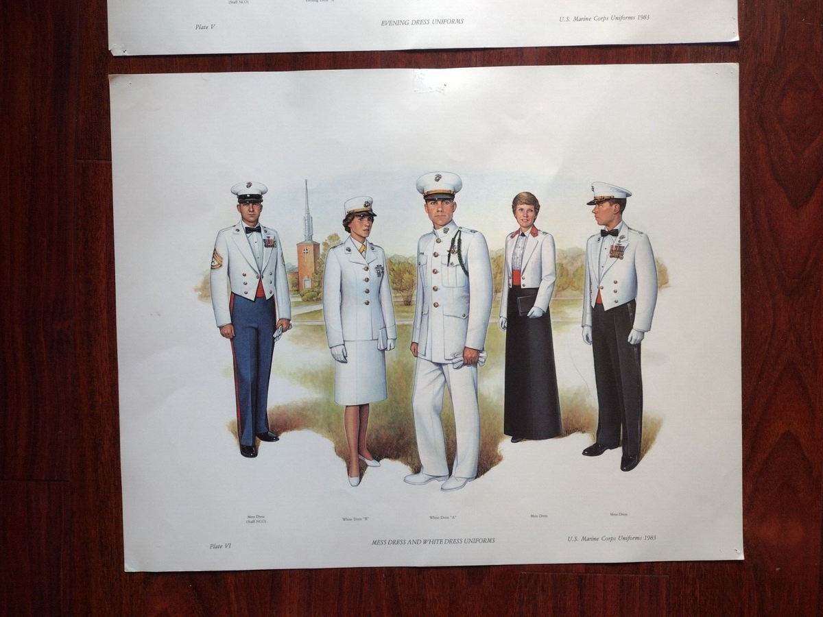 white christmas dresses Original U.S. Vietnam War 1960s Marine Corps Colonel Mess Dress Formal –  International Military Antiques