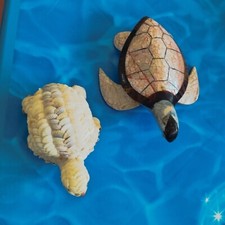 Coppia di Vecchie Tartarughe in madreperla e conchiglie