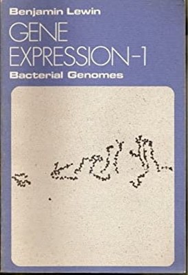 Gene Expression Vol. 1 : Bacterial Genomes Paperback Benjamin Lew