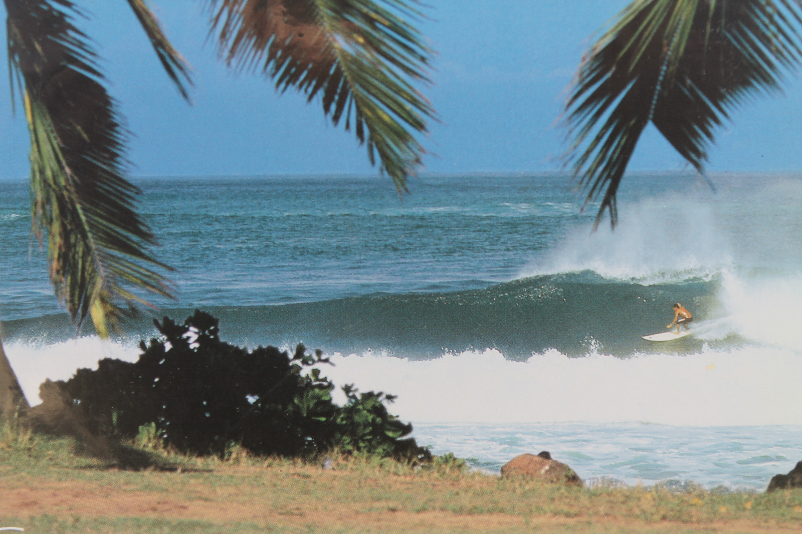 Tableau surf triptyque déco marine pour cadre photo salon chambre