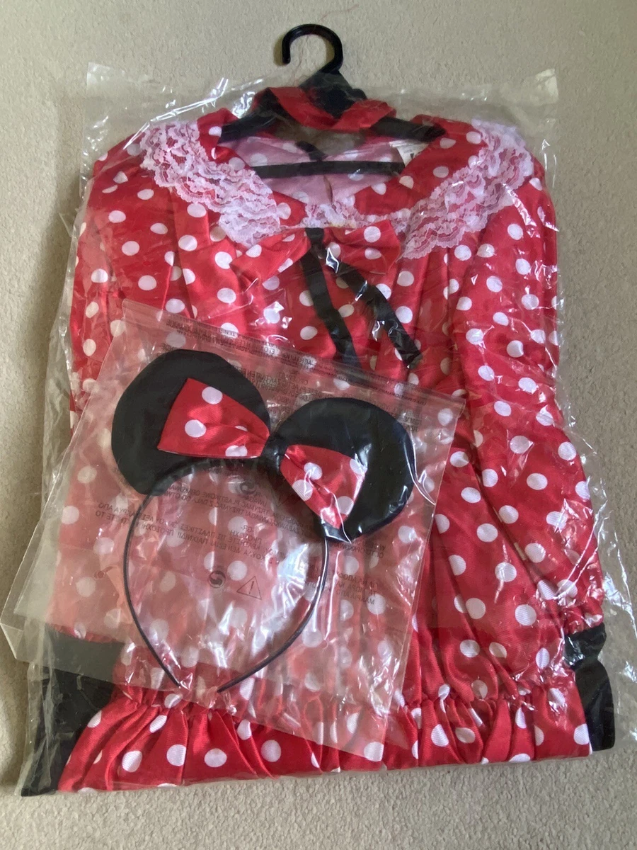 Women’s Minnie Mouse Fancy Dress