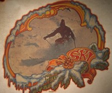 SKI LOVER VINTAGE 1970's AMERICANA IRON ON TRANSFER -NICE, B-16
