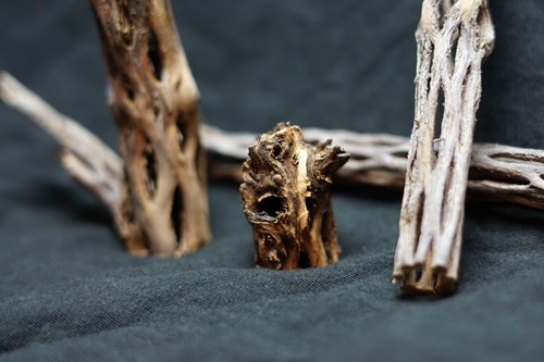 1 Inch Premium cholla wood, Untreated !
