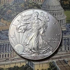 2013 American Silver Eagle 🇺🇸