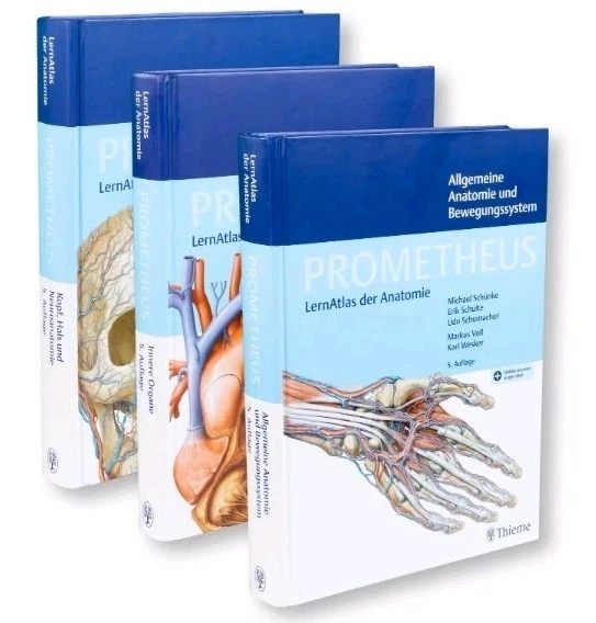 PROMETHEUS LernAtlas der Anatomie (Thieme Verlag) 3 Bände Komplettset 5. Auflage - Bild 2 von 4