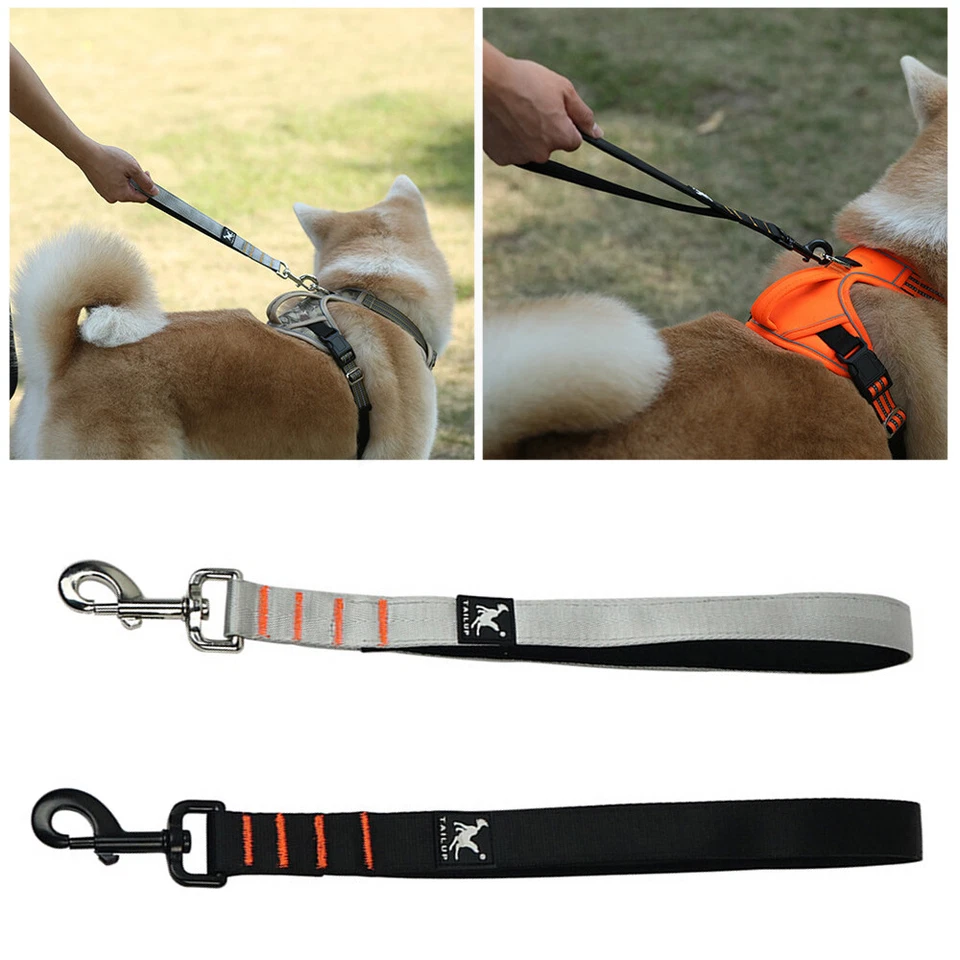 Guinzaglio Cane Sedile Corto Sicurezza / Gratis Auto Nylon Mano Cinghia Pet ☆ - Immagine 4 di 4