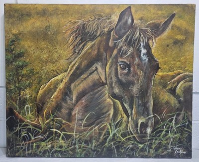 Original Acrylic Painting Resting Horse in Field Oechsner Equine foal pasture