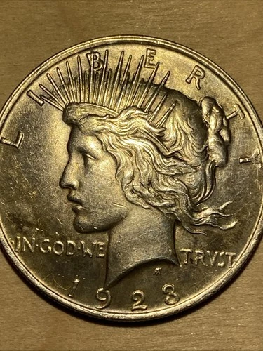 1923-P Peace Silver Dollar Tune Color & Double Rim Check Pictures Before You Buy